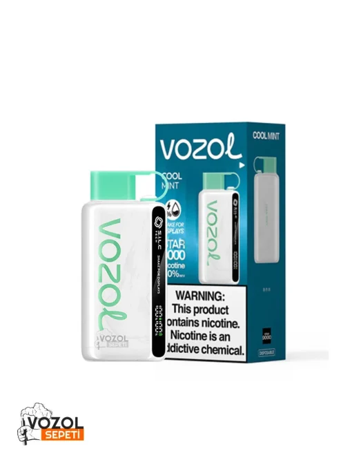 Vozol 12000 COOL Mint Puff